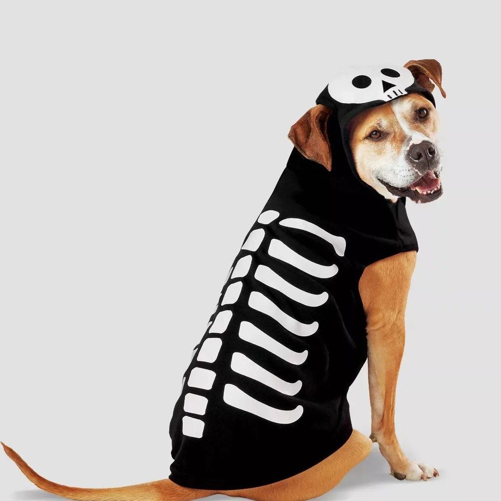 Skeleton Glow Hoodie Dog Costume