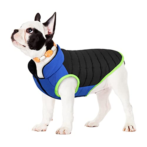 Abrigo para perro