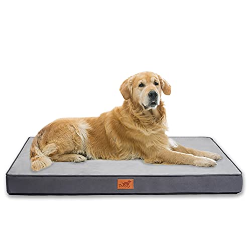 Cama para perros