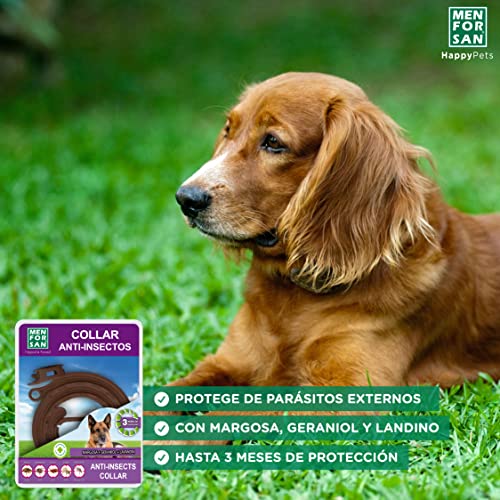 Collar antiparasitario para perros