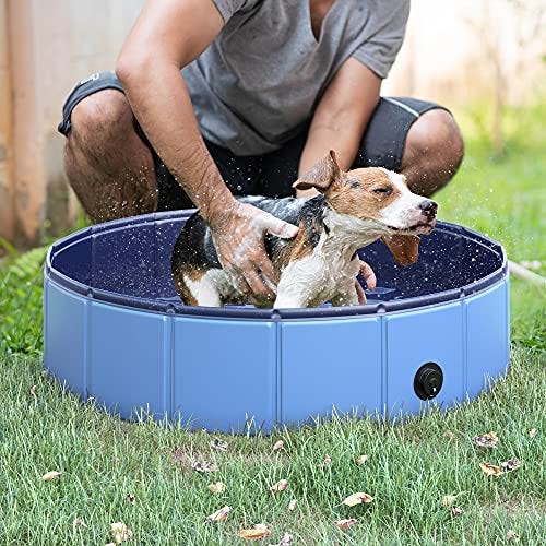 Piscina plegable para perros y gatos
