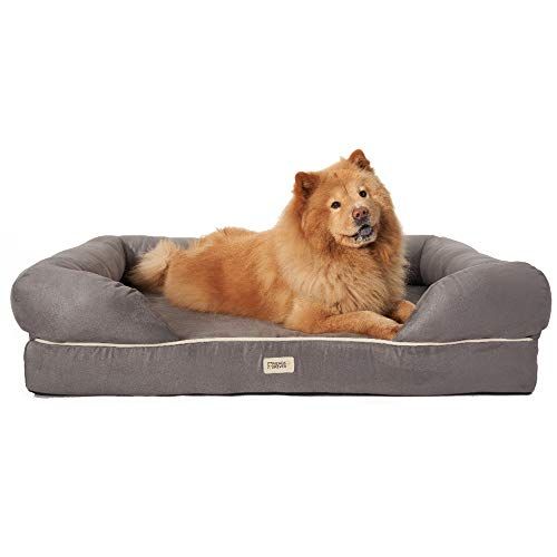 whats the best orthopedic dog bed