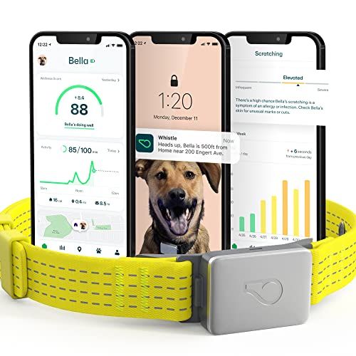 Whistle Switch GPS + Health + Fitness Smart Dog Collar