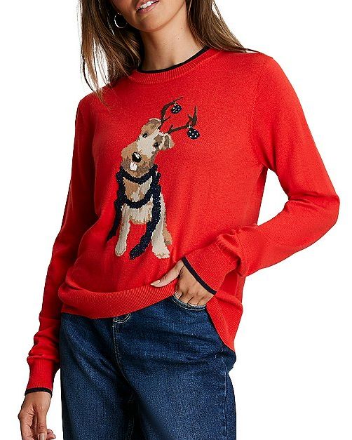 Christmas Dog Motif Sweater