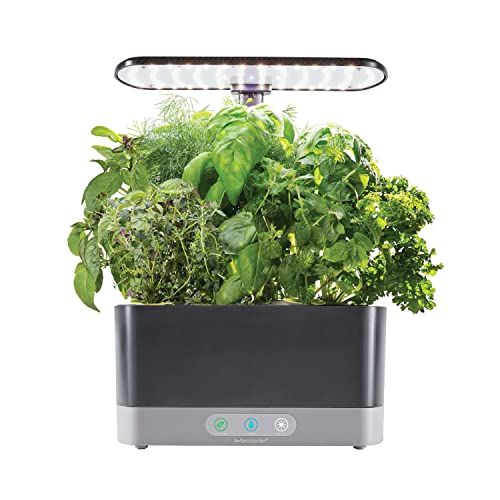 Harvest XL With Gourmet Herbs Seed Pod Kit
