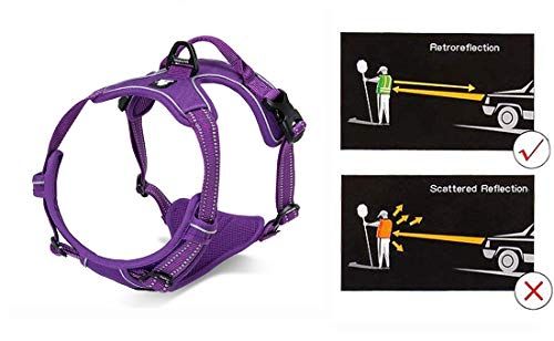 Mokcci 2024 dog harness