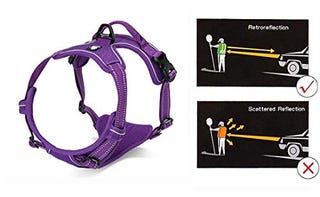 Soft Front Dog Harness