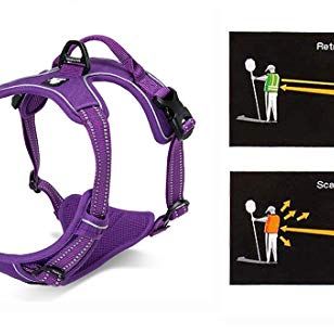 Soft Front Dog Harness