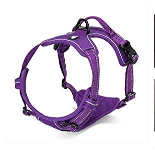 Soft Front Dog Harness