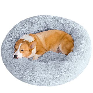 Calming Dog Bed