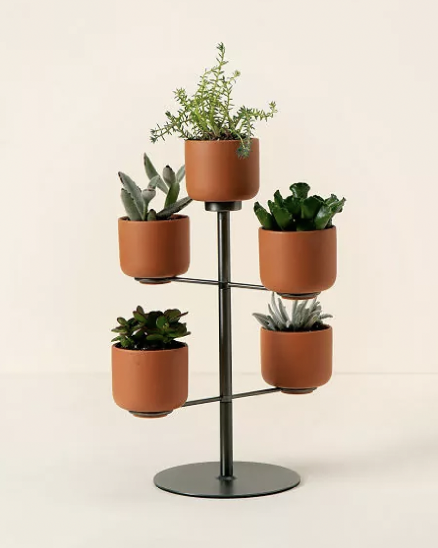 Modern Desktop Terracotta Planters