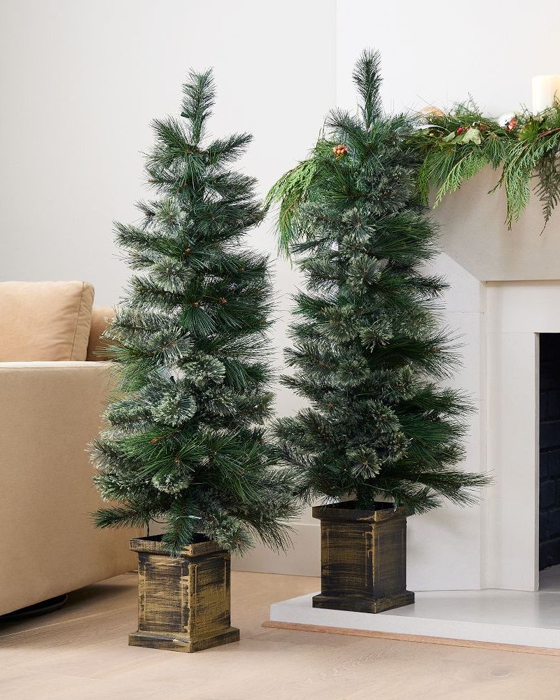 Potted Spiral Christmas Trees (Set of 2)
