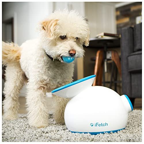  Interactive Ball Launcher for Dogs