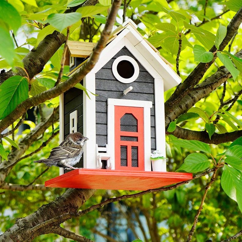 Colorful Bird House