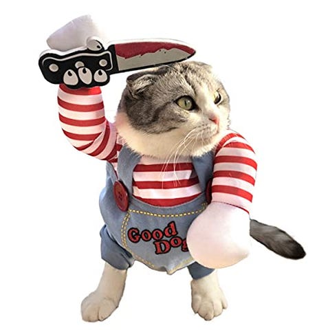 40 disfraces de gatos para Halloween originales y divertidos 40 disfraces de gatos para Halloween originales y divertidos