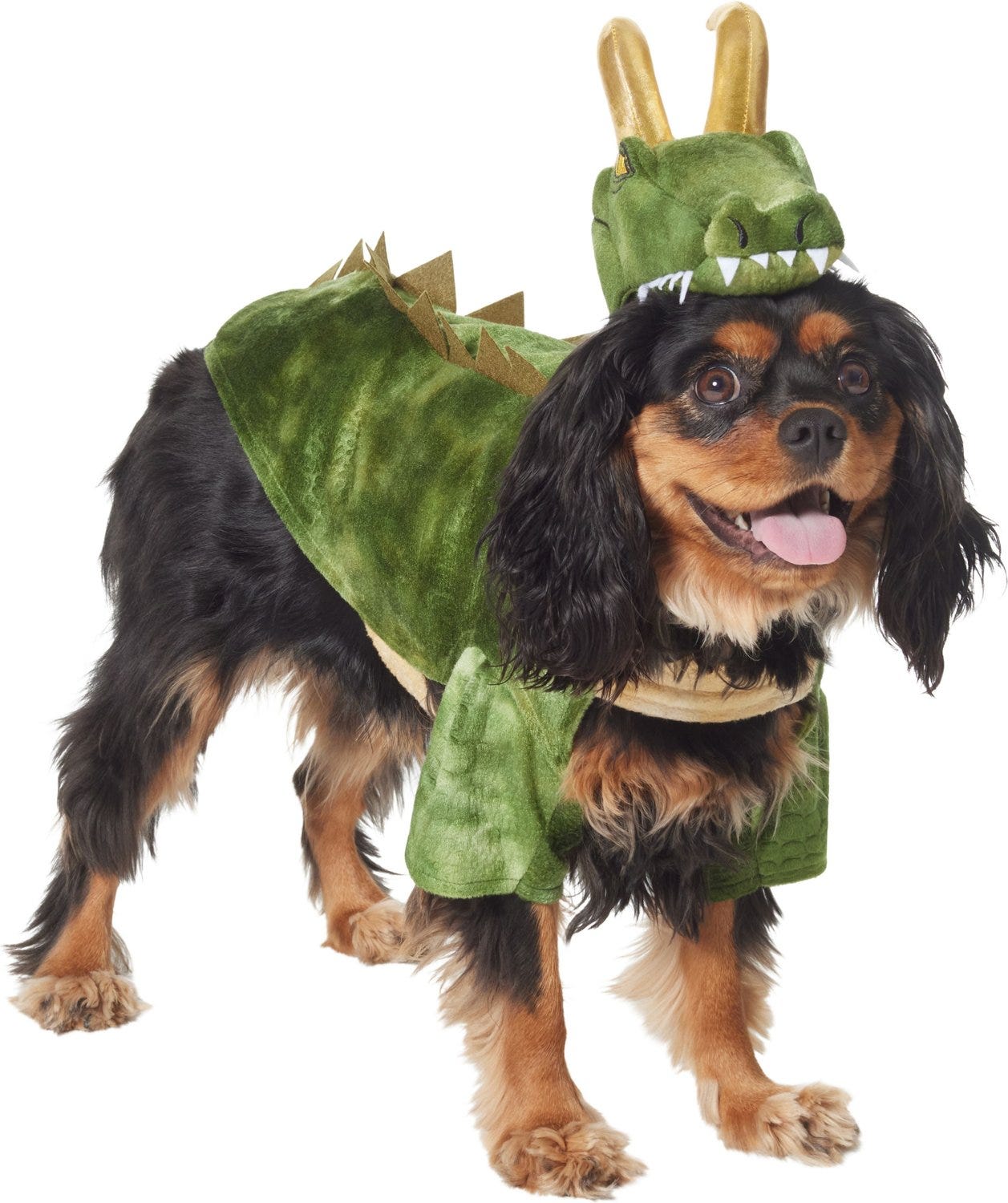 These Are The Top Dog Hallowen Costumes of 2022, According to Rover