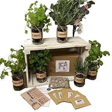 Set of 3: Indoor Herb Garden in Jars 