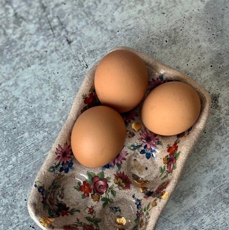 Best Ceramic Egg Trays 2022: Shop Nicole Richie's Pick From