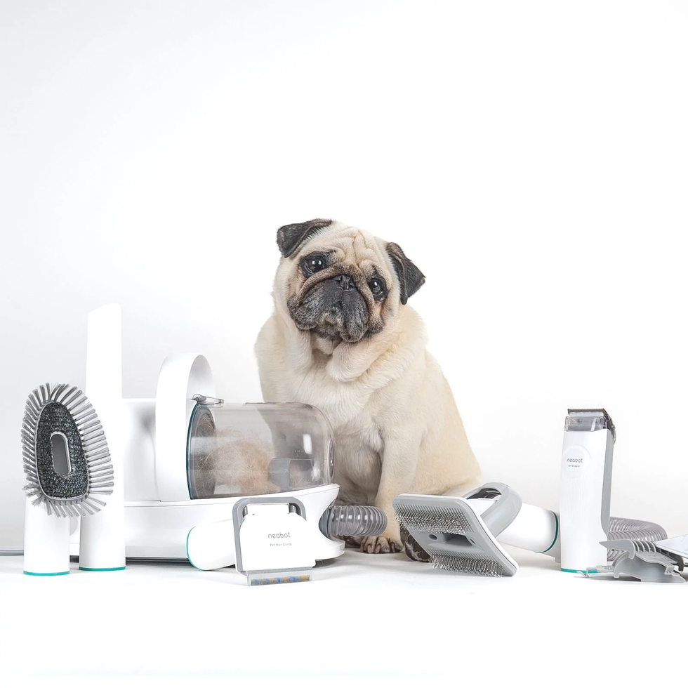 https://hips.hearstapps.com/vader-prod.s3.amazonaws.com/1666726855-neabot-p1-pro-professional-pet-grooming-vacuum-kit-hair-clipper-956085-1800x1800-1666726842.png?crop=1xw:1xh;center,top&resize=980:*