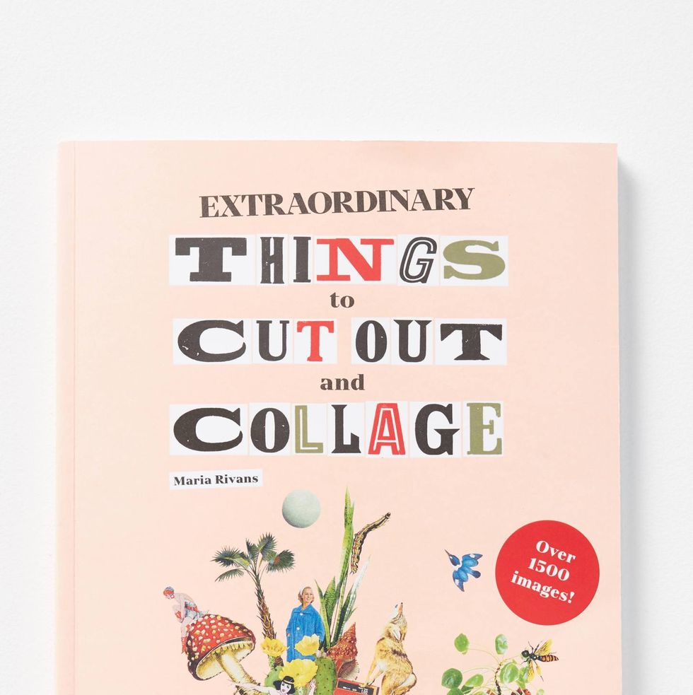 24 Beautiful Coffee Table Books That Will Start a Conversation