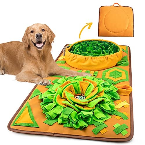 20 Best Interactive Dog Toys 2023