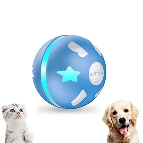 20 Best Interactive Dog Toys 2023 - Best Toys to Keep Dogs Busy