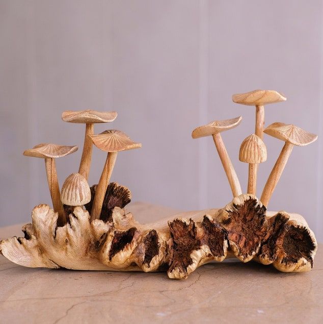 Mushroom Friend Gifts & Merchandise for Sale