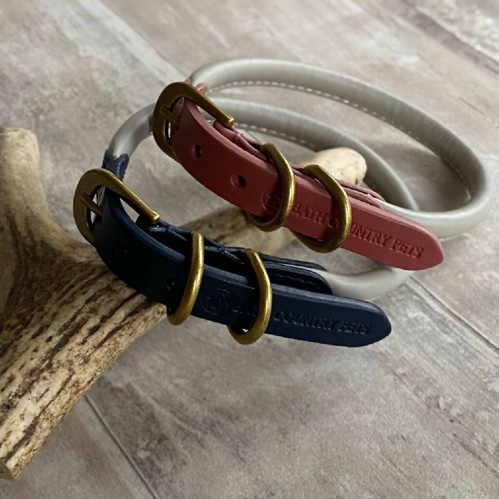 15 Best Leather Dog Collars for 2022