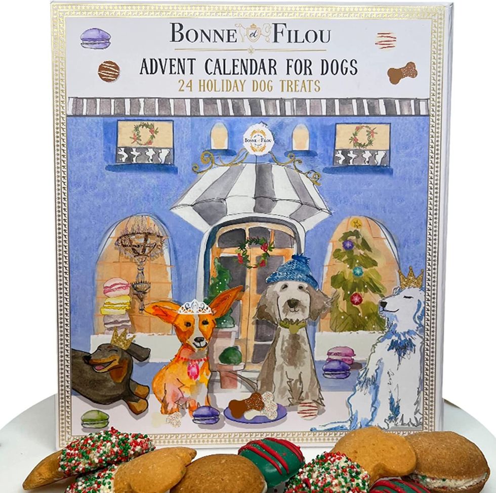 Bonne et Filou Dog Advent Calendar