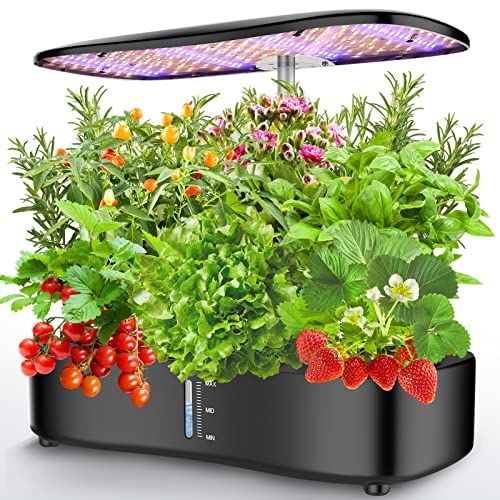 hydroponic gardening kit