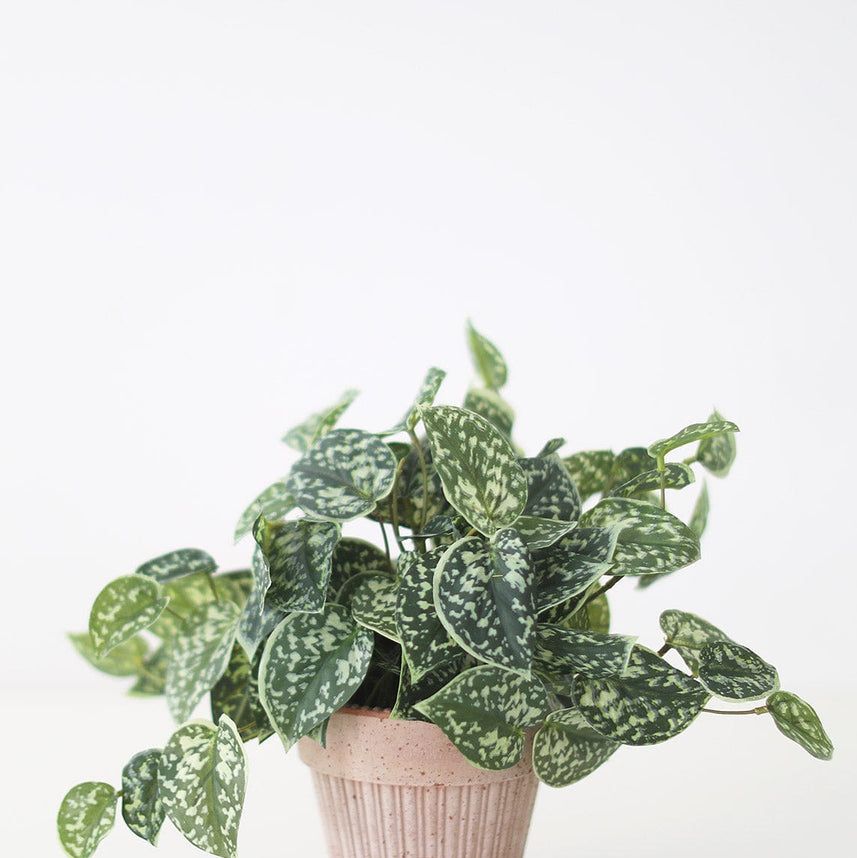 9 Best Faux Plants 2022: Where to Buy Fake Plants