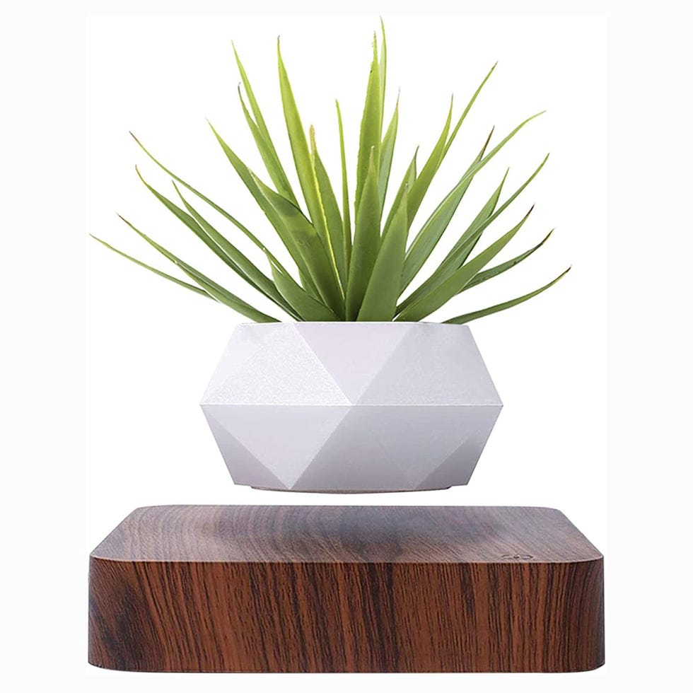 Levitating Flower Planter Levitating Flower Planter