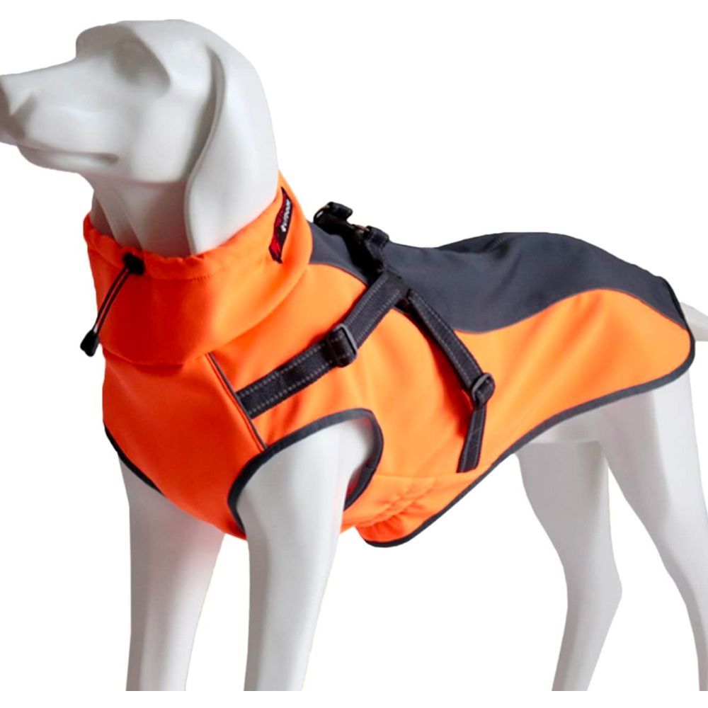 Brady Waterproof Coat with Built-in Harness