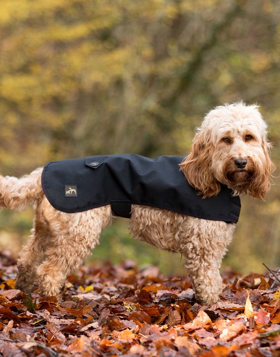 Best dog hot sale coats uk