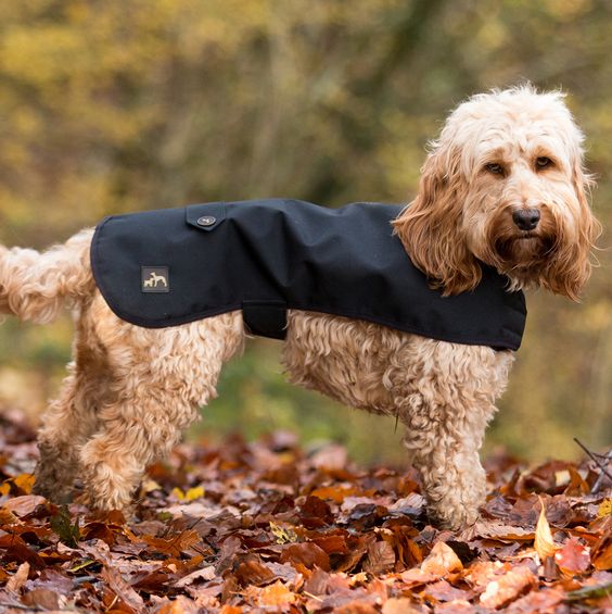 Waterproof Dog Coat