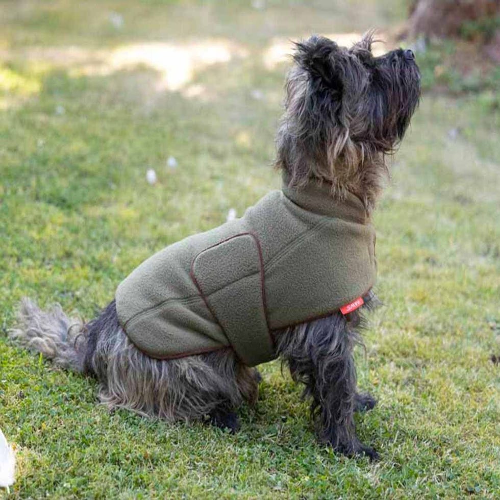 Fleece Dog Coat