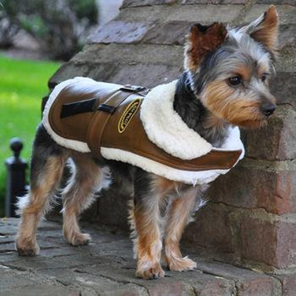 Faux Leather Bomber Dog Coat