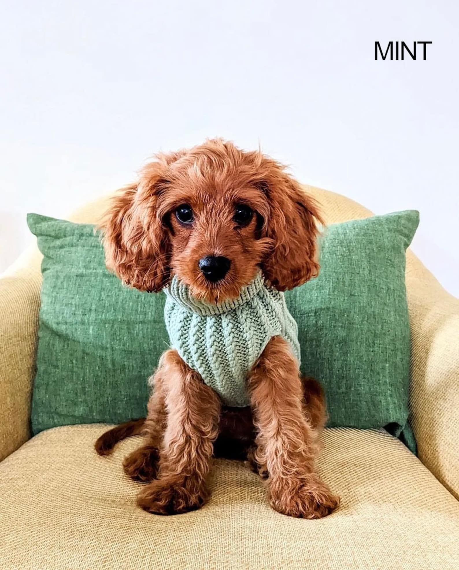 Wilko dog jumper hotsell