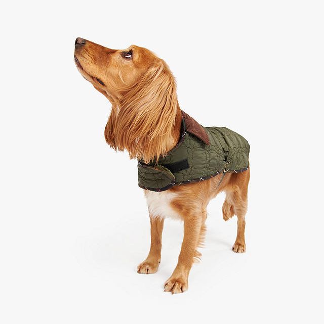 Bone Quilted Dog Coat