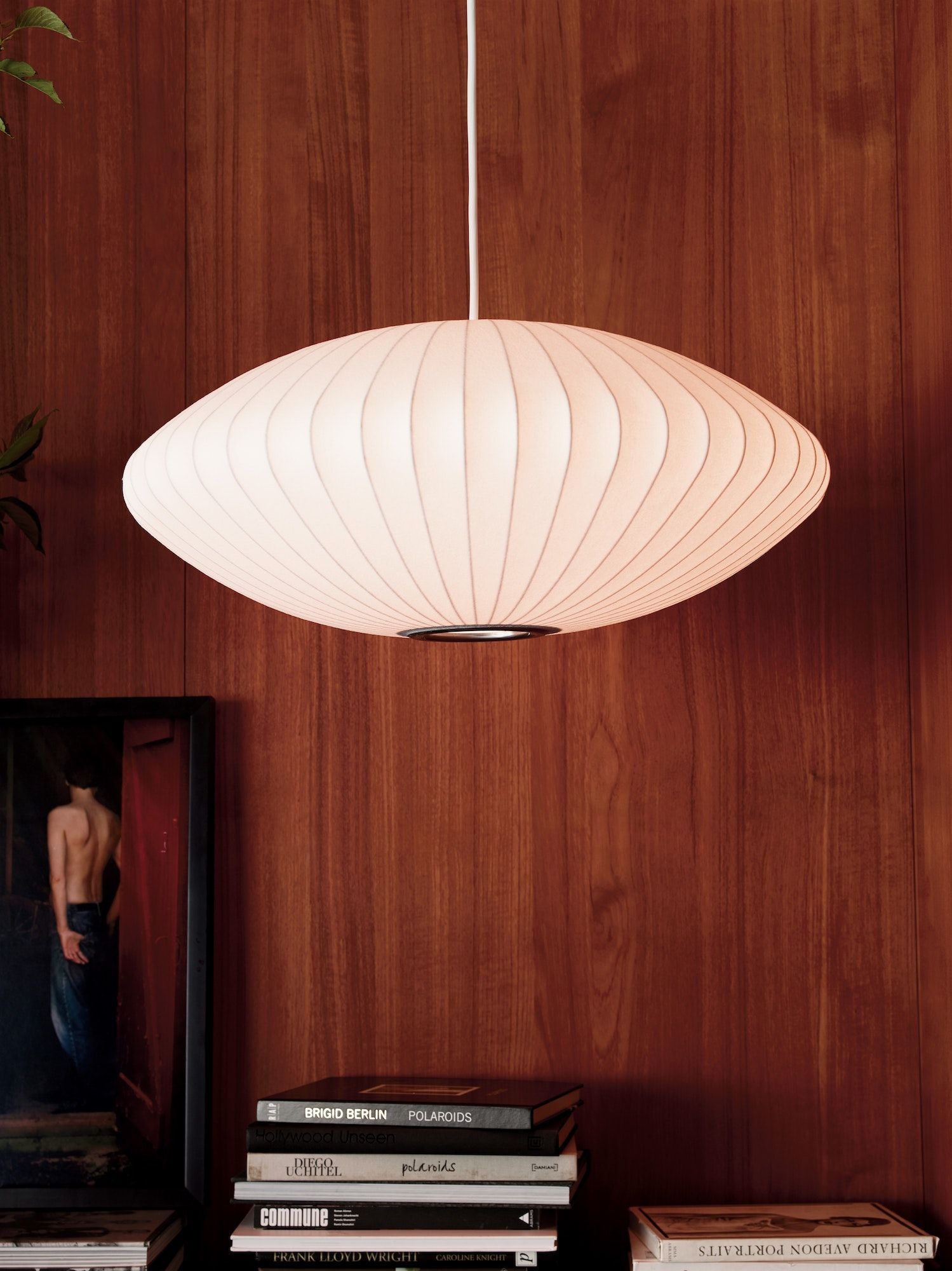 Dwr 2024 ceiling lights