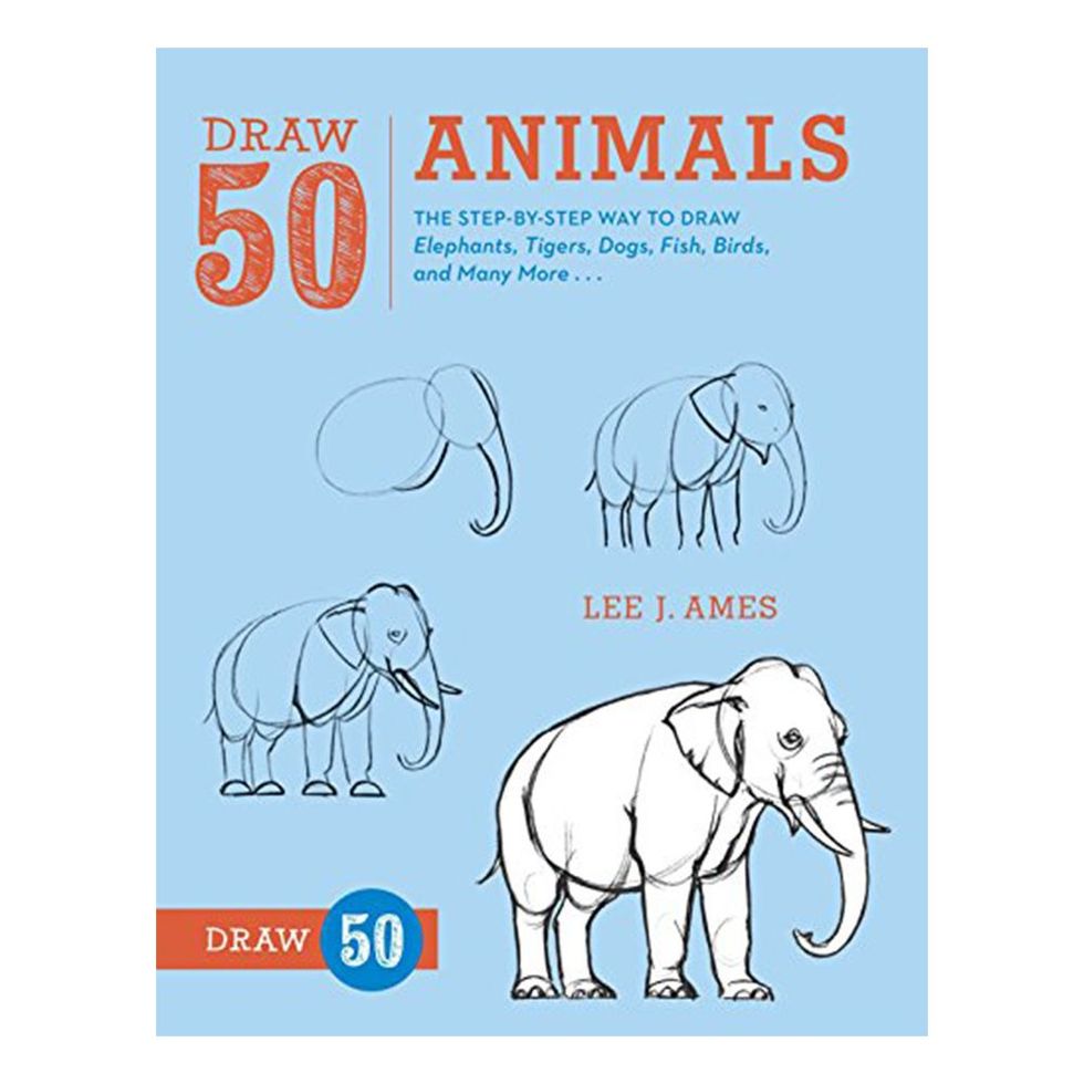 <I>Draw 50 Animals</i> by Lee J. Ames