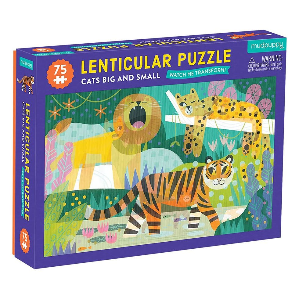 Big Cats Puzzle