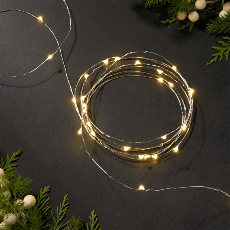 Twinkle Silver 10' String Lights