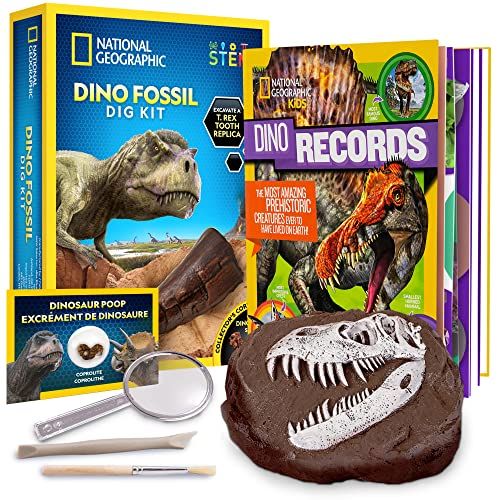 Dino Dig Kit and Dinosaur Book