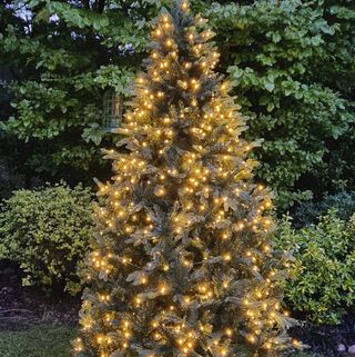 The 6ft Pre-lit Outdoor Woodland Pine Tree