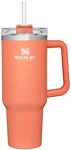 Stanley Adventure Quencher Travel Tumbler for Kids 8 India