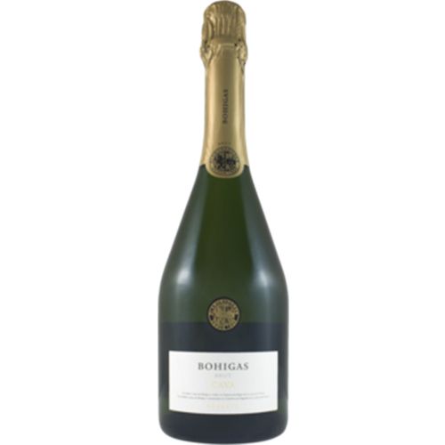 10 Best Champagne and Sparkling Wine Brands 2022