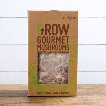GroCycle Oyster Mushroom Growing Kit