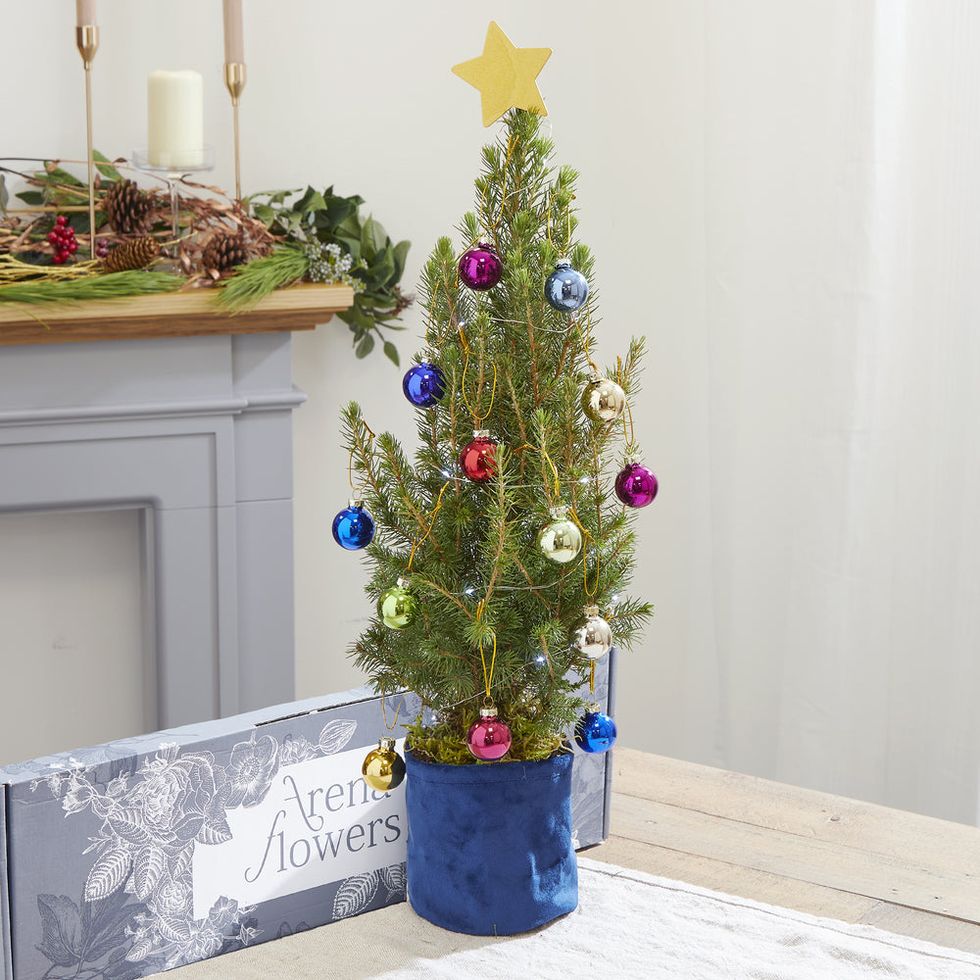 Letterbox Tannenbaum Christmas Tree
