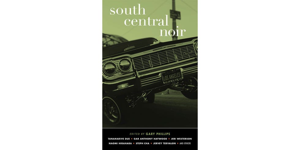 <i>SOUTH CENTRAL NOIR</i>, BY GARY PHILLIPS